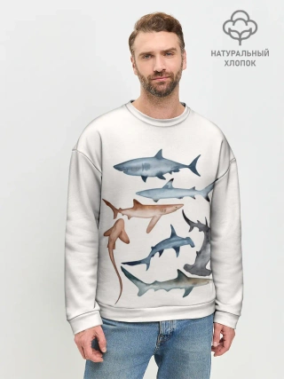Мужской свитшот базовый / акулы