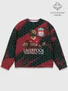 Мужской свитшот базовый / Liverpool: Мохамед Салах.