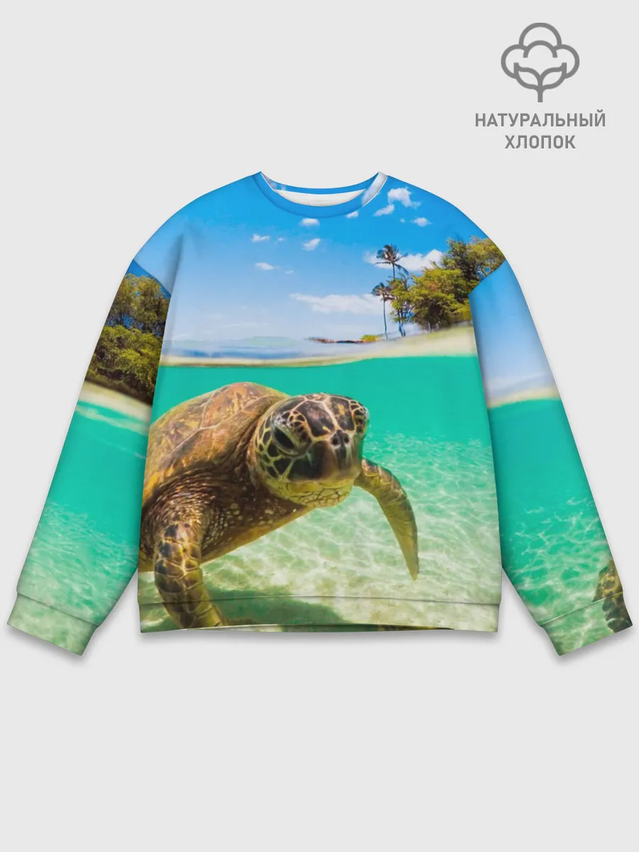 Мужской свитшот базовый / Морская черепашка