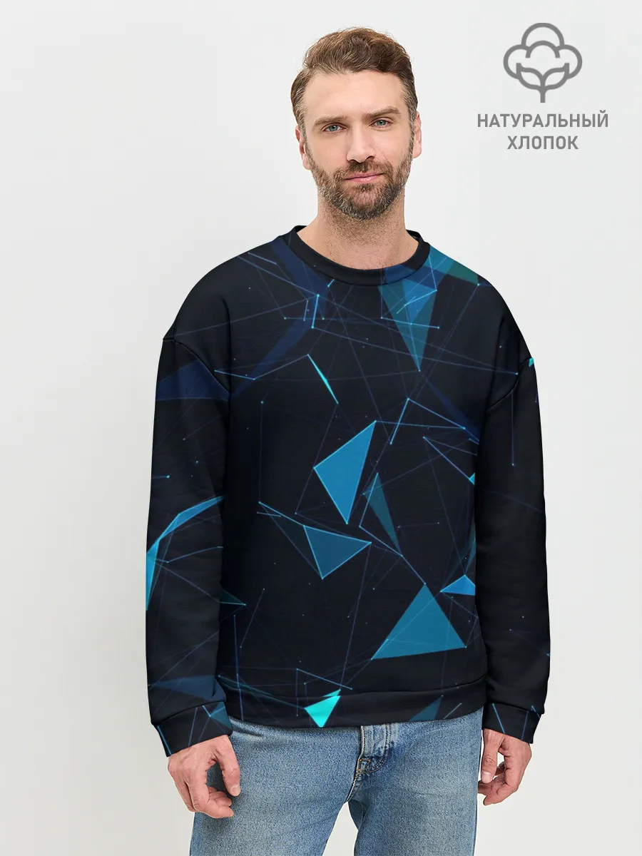Мужской свитшот базовый / Цифровой треугольник