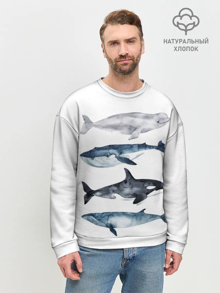 Мужской свитшот базовый / киты