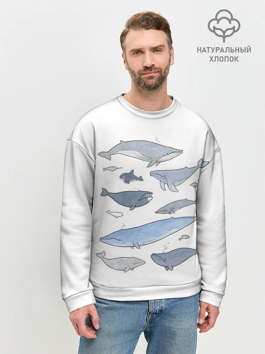 Мужской свитшот базовый / киты
