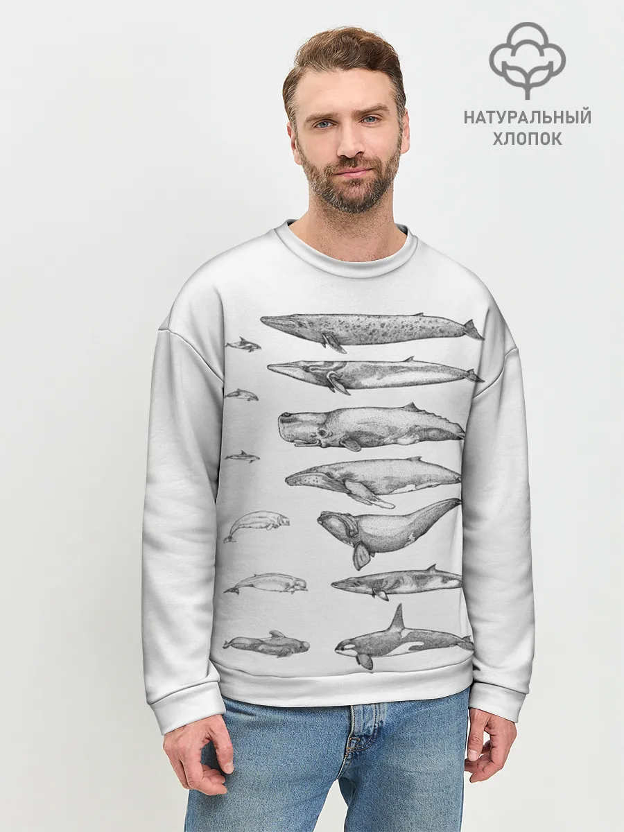 Мужской свитшот базовый / киты графика