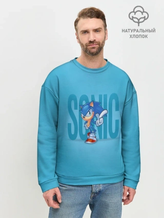 Мужской свитшот базовый / Легендарный ёж