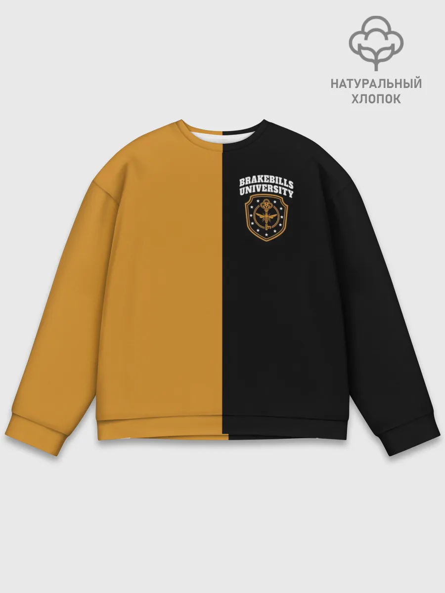 Мужской свитшот базовый / Brakebills University