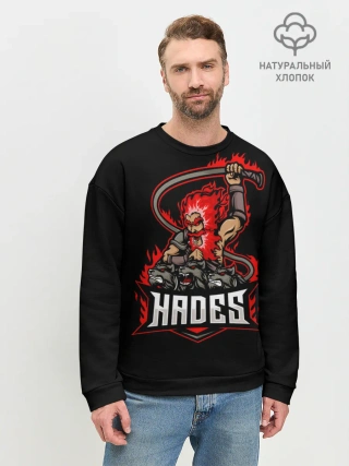 Мужской свитшот базовый / Hades