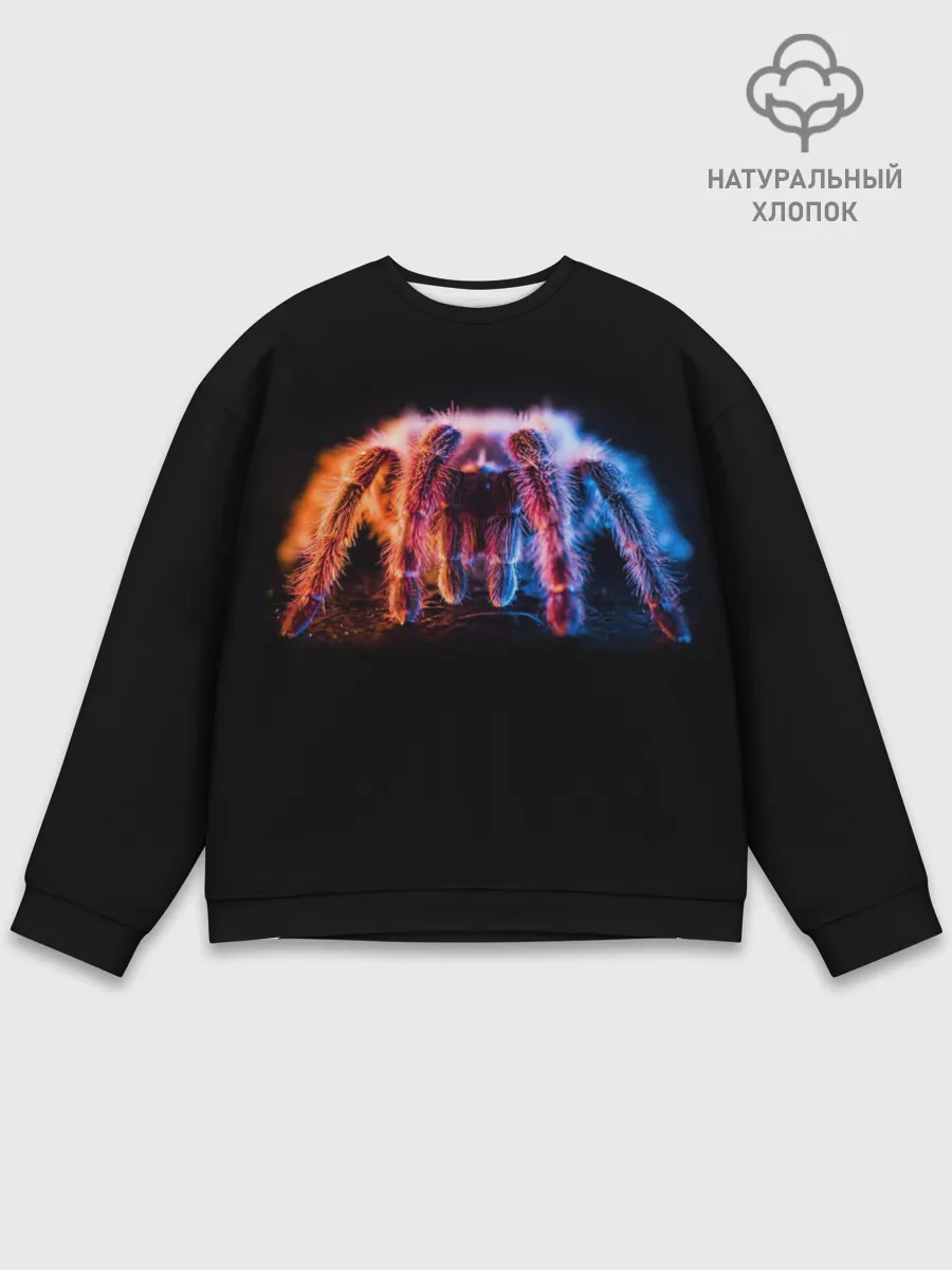 Мужской свитшот базовый / НЕОНОВЫЙ ПАУК / NEON