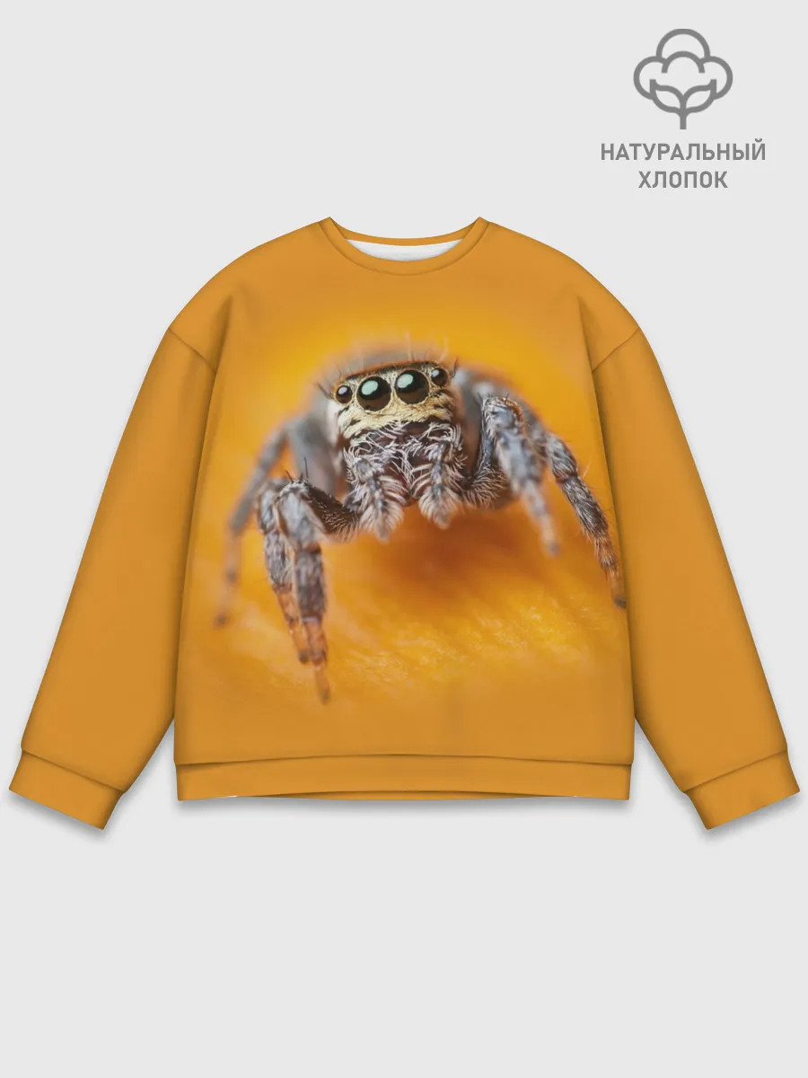 Мужской свитшот базовый / ПАУК / SPIDER