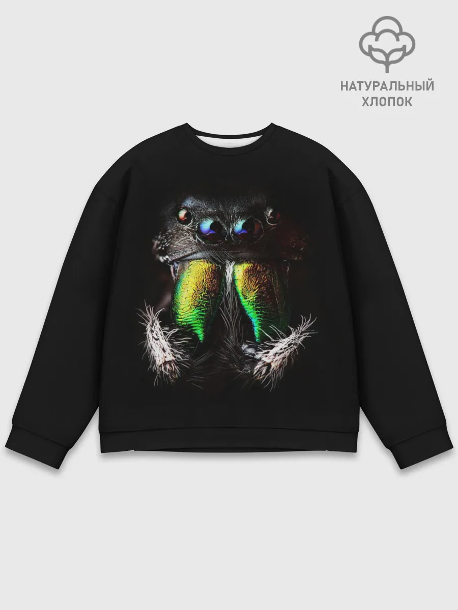 Мужской свитшот базовый / ПАУК МАКРО СЪЕМКА