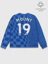 Мужской свитшот базовый / Маунт Челси форма 2021/2022