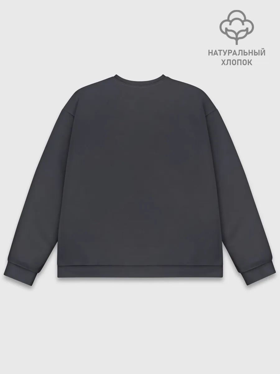 Мужской свитшот базовый / Webber