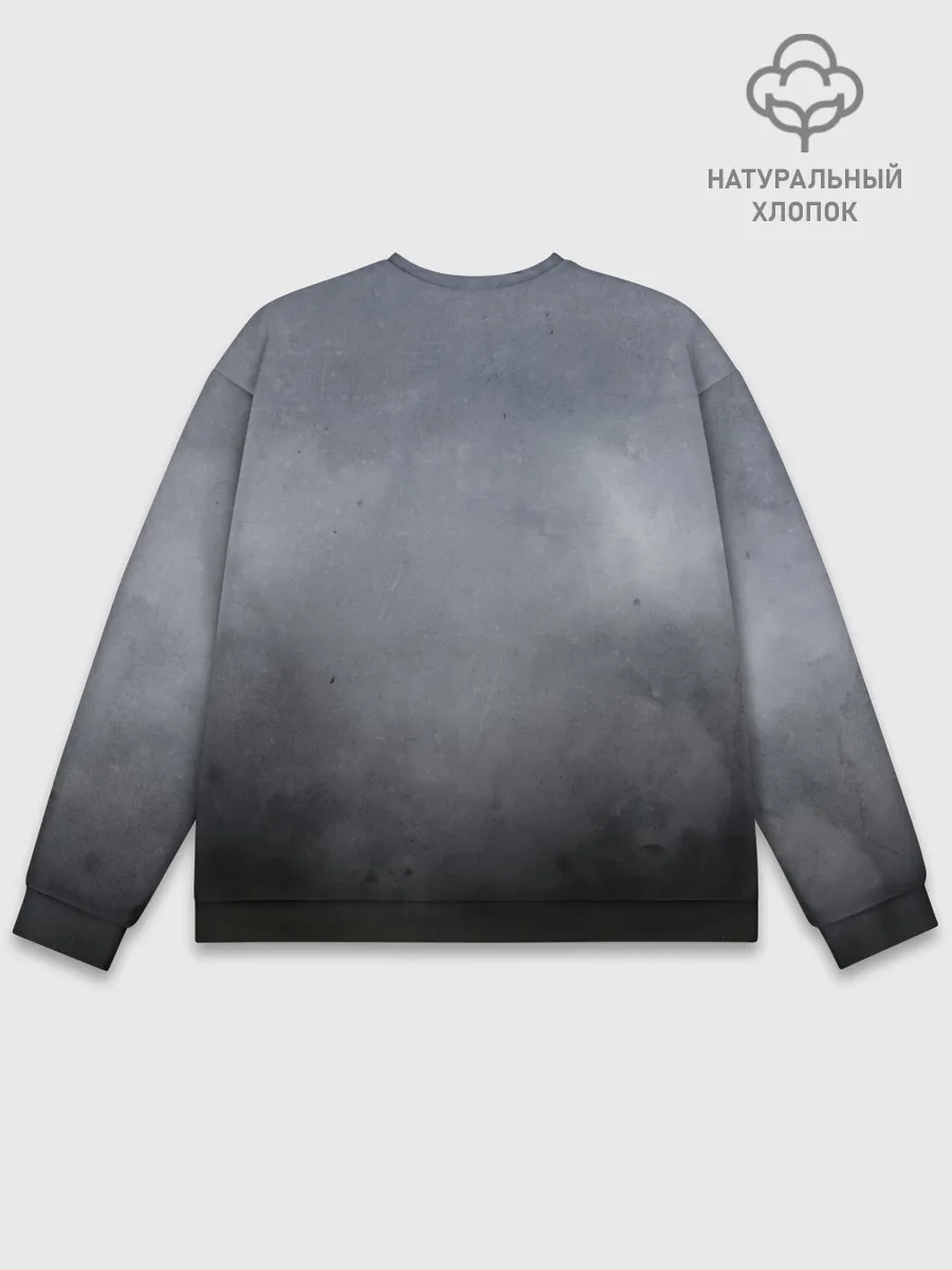 Мужской свитшот базовый / Kane Harry