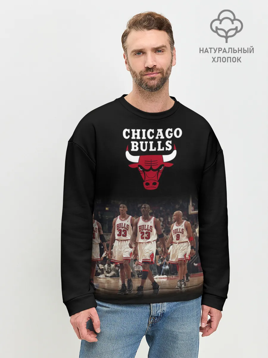Мужской свитшот базовый / CHICAGO BULLS [3]