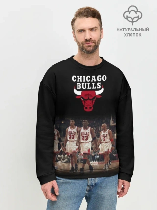 Мужской свитшот базовый / CHICAGO BULLS [3]