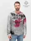 Мужской свитшот базовый / CHICAGO BULLS [8]