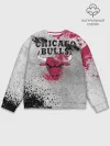 Мужской свитшот базовый / CHICAGO BULLS [8]