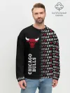Мужской свитшот базовый / CHICAGO BULLS [7]
