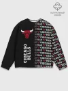 Мужской свитшот базовый / CHICAGO BULLS [7]