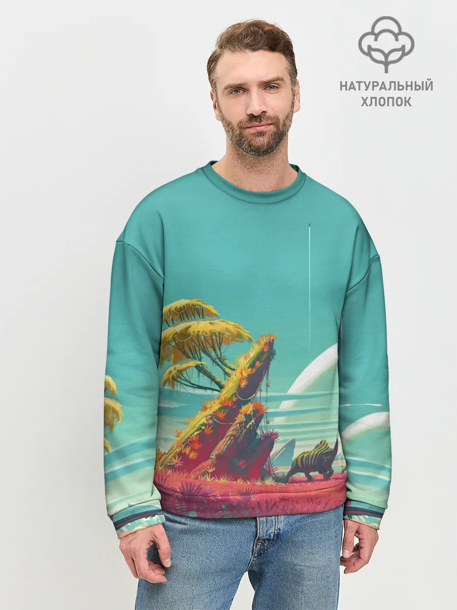 Мужской свитшот базовый / No Man Sky