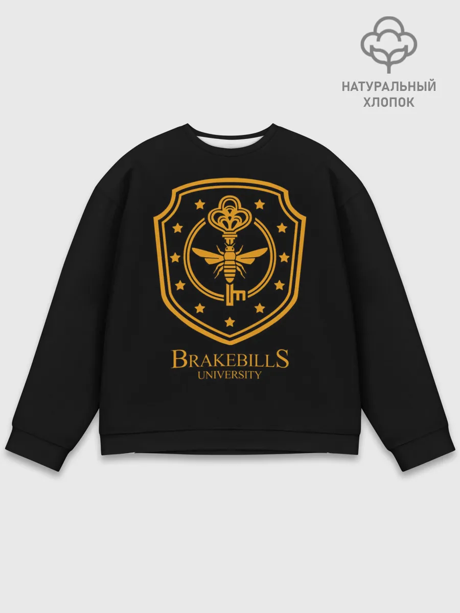 Мужской свитшот базовый / Волшебники / Brakebills