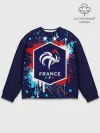 Мужской свитшот базовый / Сборная Франции