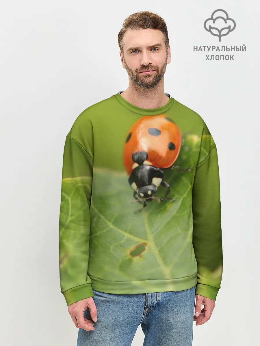 Мужской свитшот базовый / Божья коровка