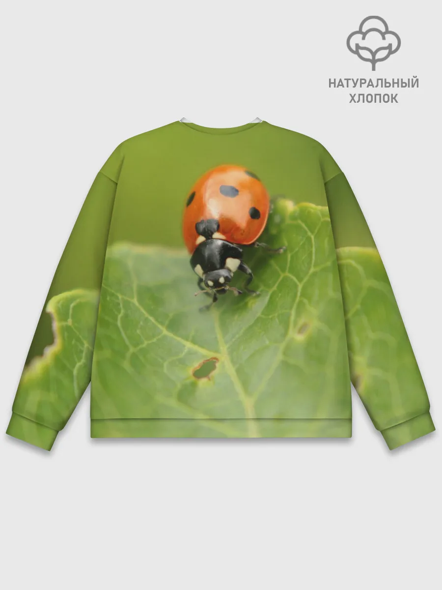 Мужской свитшот базовый / Божья коровка