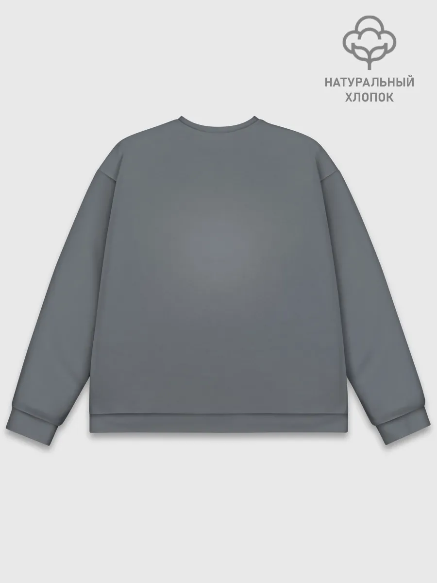 Мужской свитшот базовый / Maneskin