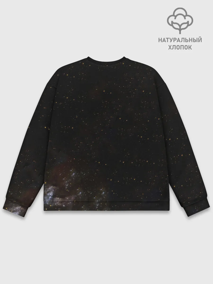 Мужской свитшот базовый / Billy Space Aquarell