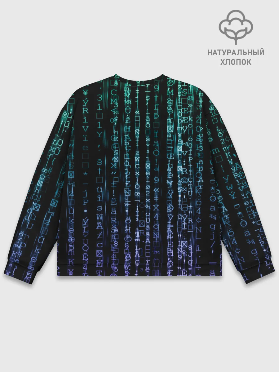 Мужской свитшот базовый / Матрица 3D