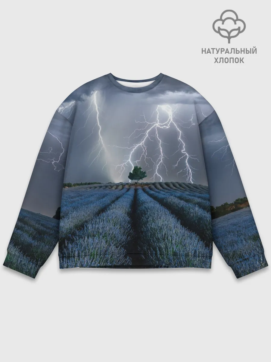 Мужской свитшот базовый / Молнии