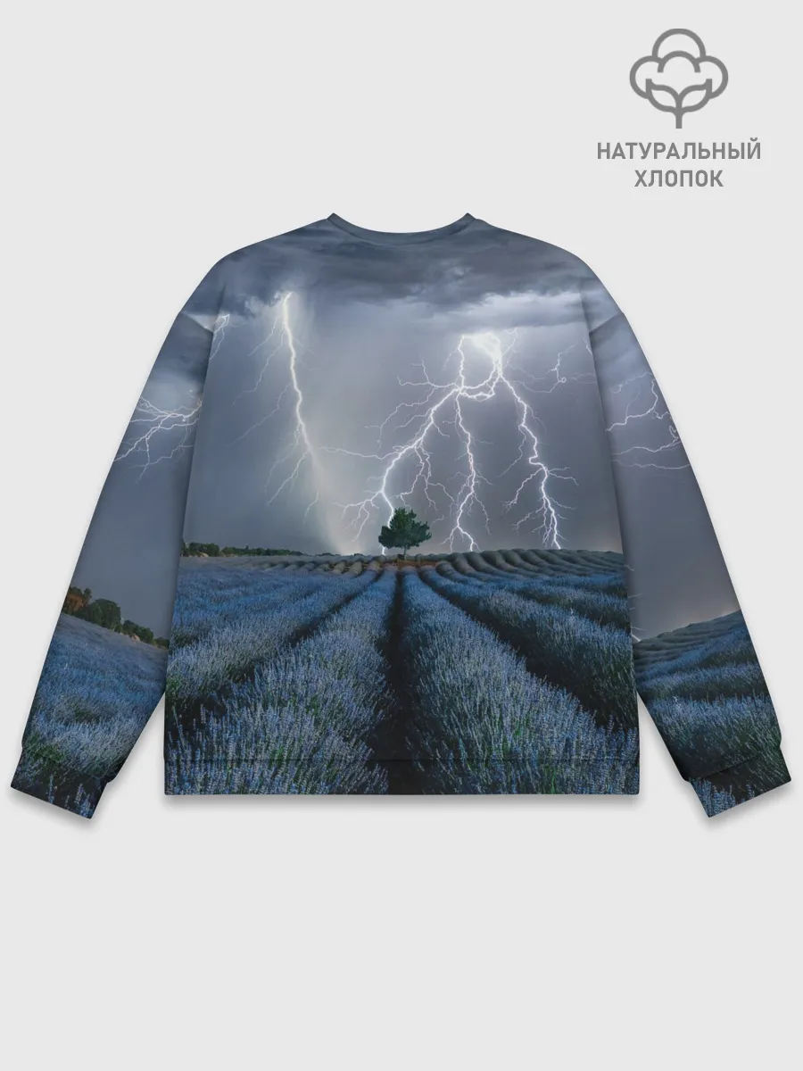Мужской свитшот базовый / Молнии