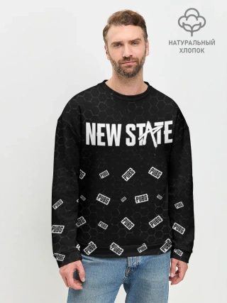 Мужской свитшот базовый / ПАБГ New State - Соты