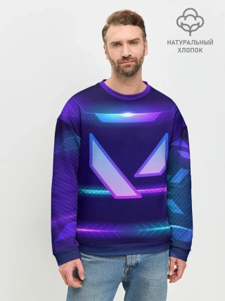 Мужской свитшот базовый / Valorant