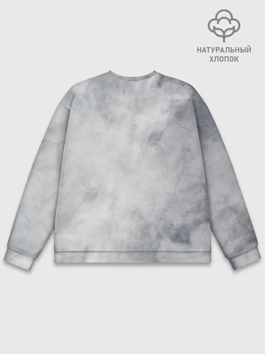 Мужской свитшот базовый / БИБОП | BIBOP | TNT