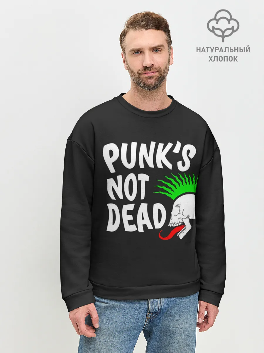Мужской свитшот базовый / Веселый панк