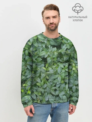 Мужской свитшот базовый / Барвинок