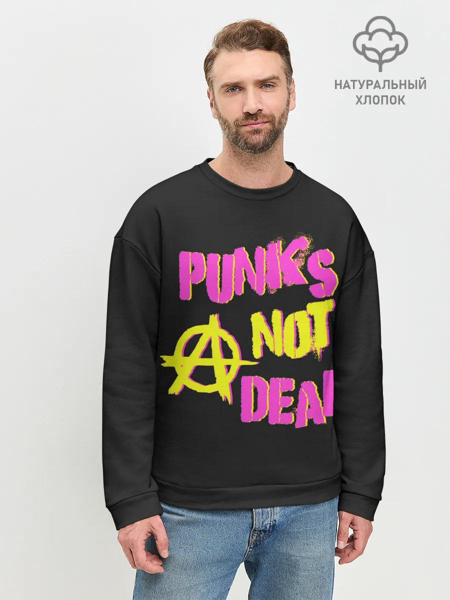 Мужской свитшот базовый / Панк анархия