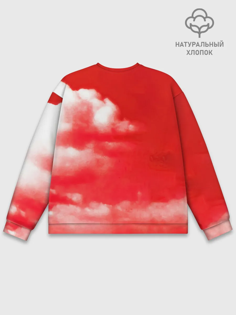 Мужской свитшот базовый / 30 Seconds to Mars красное небо