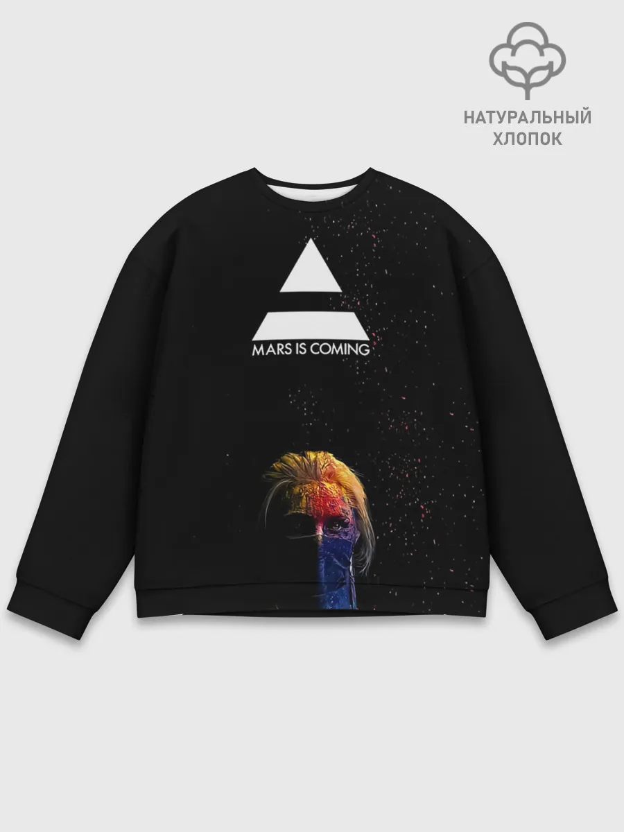 Мужской свитшот базовый / MARS IS COMING 30StM