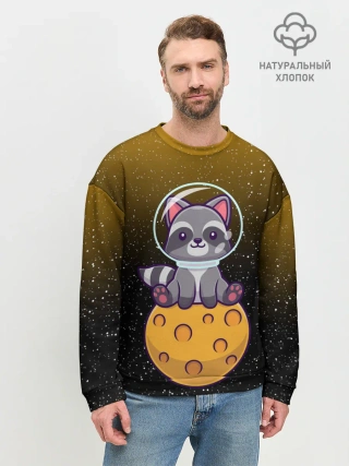 Мужской свитшот базовый / ЕНОТ АСТРОНАВТ | ЛУННЫЙ ЕНОТ