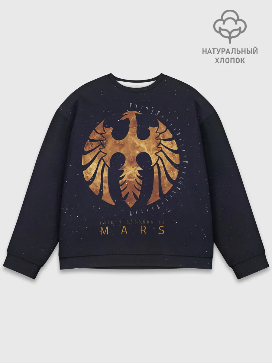 Мужской свитшот базовый / Thirty Seconds to Mars космос