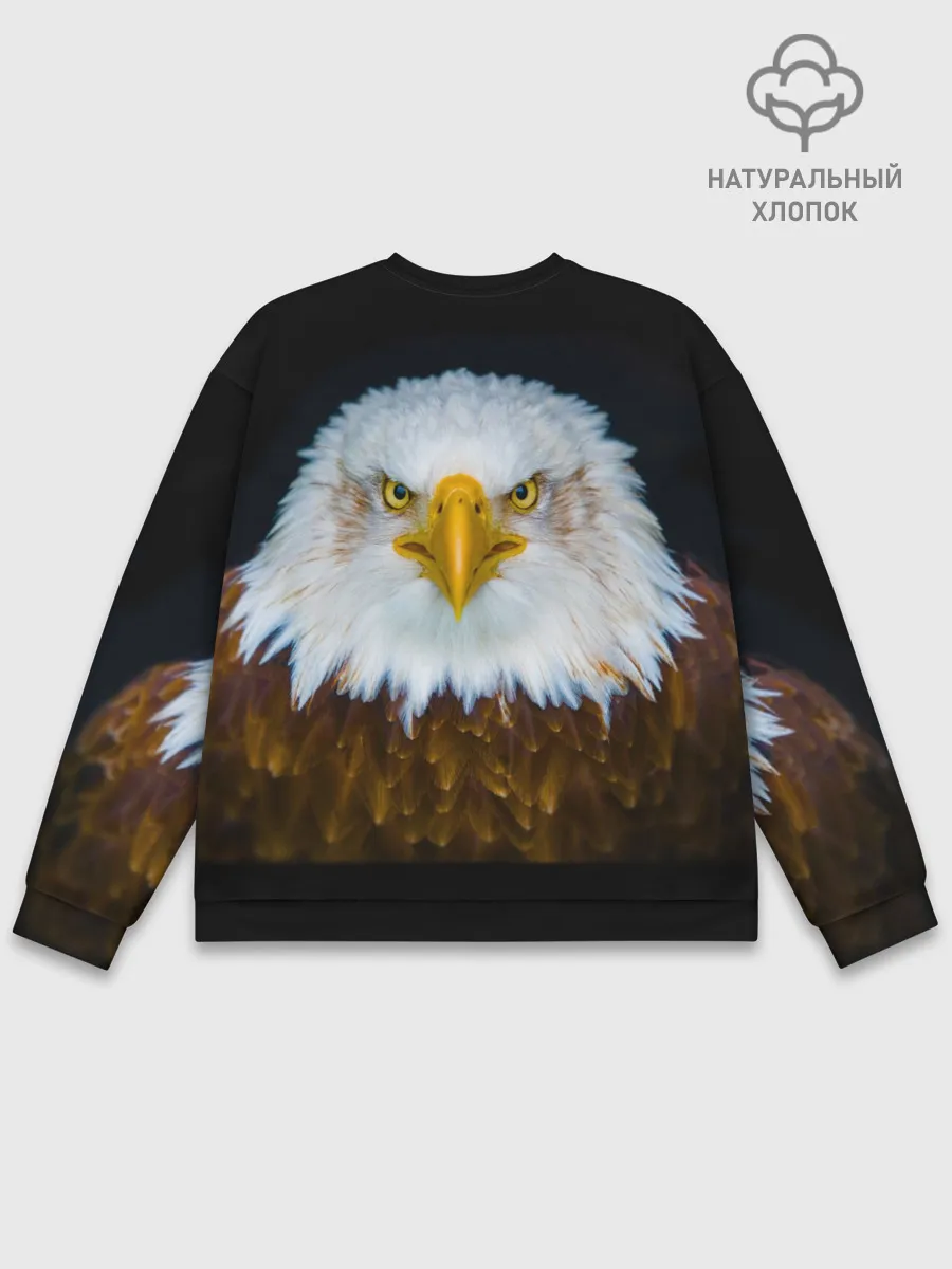 Мужской свитшот базовый / Белоголовый орлан