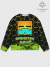 Мужской свитшот базовый / Geometry Dash
