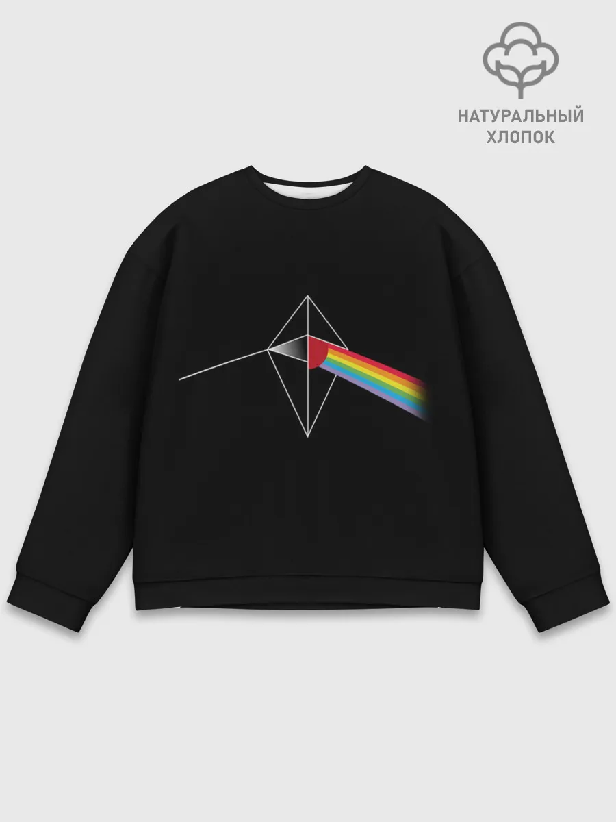 Мужской свитшот базовый / No mens sky x Pink Floyd