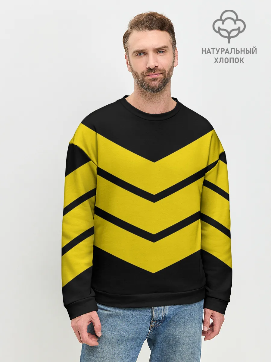 Мужской свитшот базовый / Три полоски