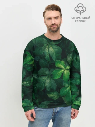 Мужской свитшот базовый / Тропическая листва | Тропики