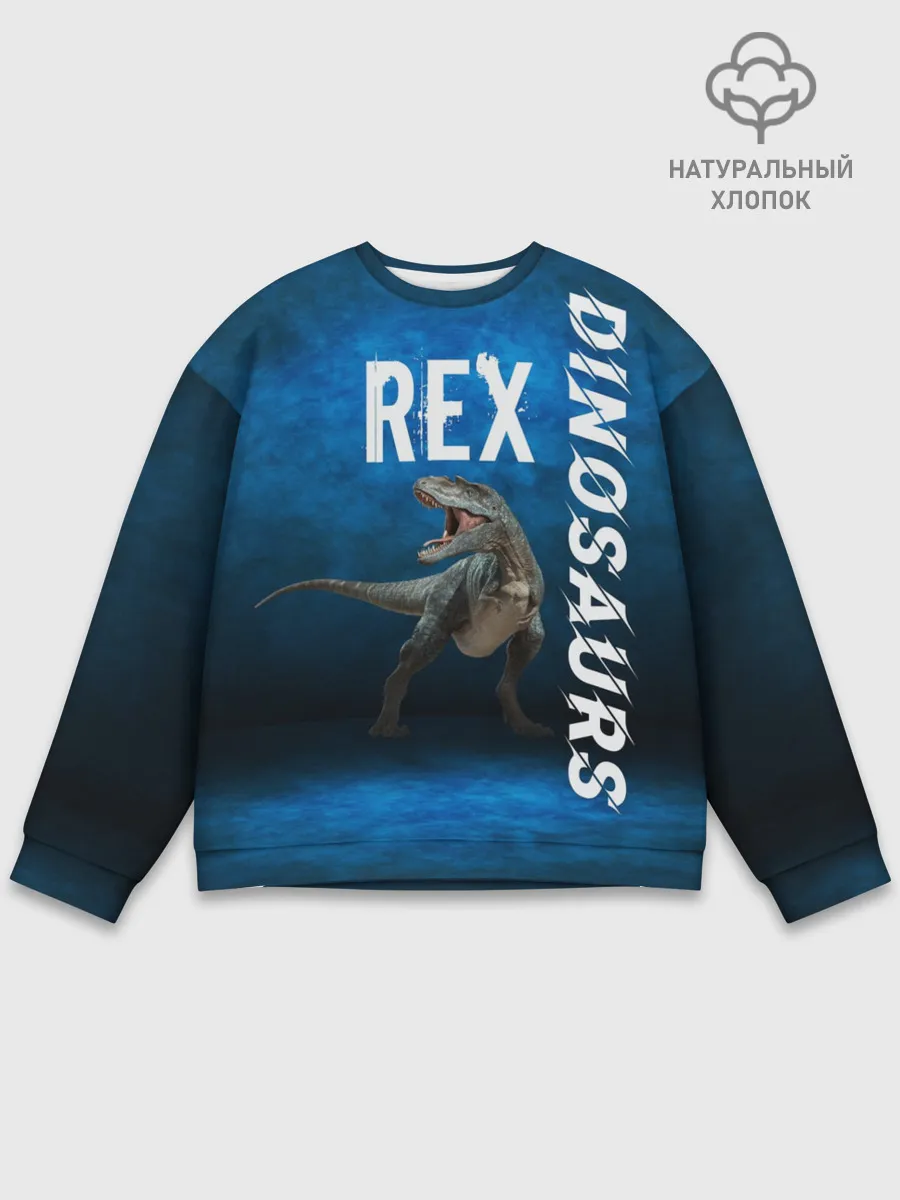 Мужской свитшот базовый / Dinosaurs Rex 3D