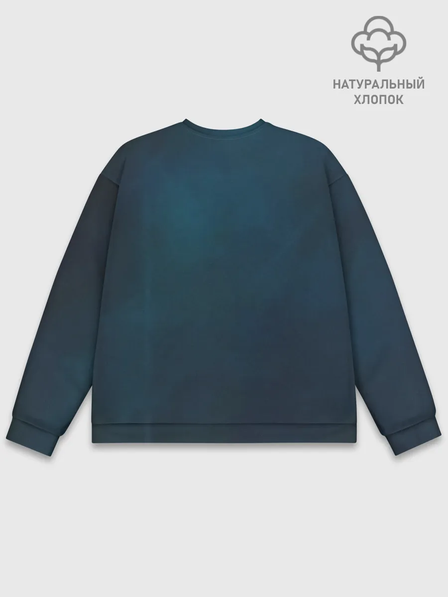 Мужской свитшот базовый / Скрип на концерте