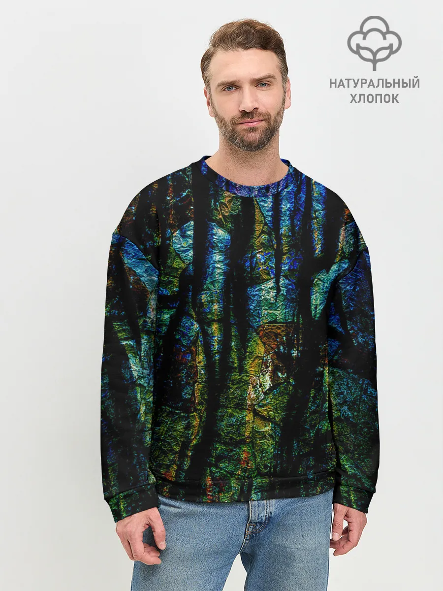 Мужской свитшот базовый / Разноцветная гора